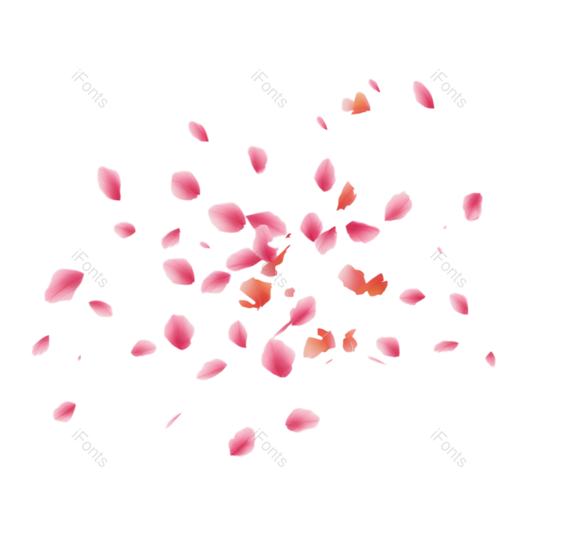 元素图片,卡通元素,白色背景PNG,花瓣免抠素材